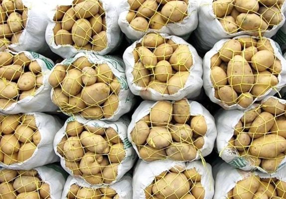 واردات محموله سیب زمینی با هدف کاهش قیمت این محصول به بازار استان