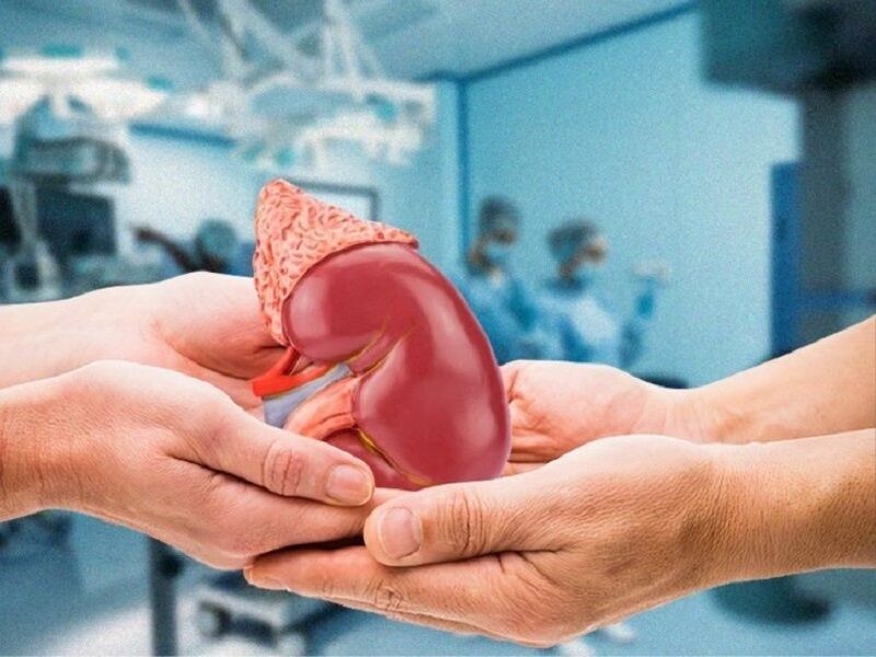  اهدای اعضای ۲ بیمار ۱۸ و ۴۱ ساله مرگ مغزی در مشهد جان ۱۱ نفر را نجات بخشید